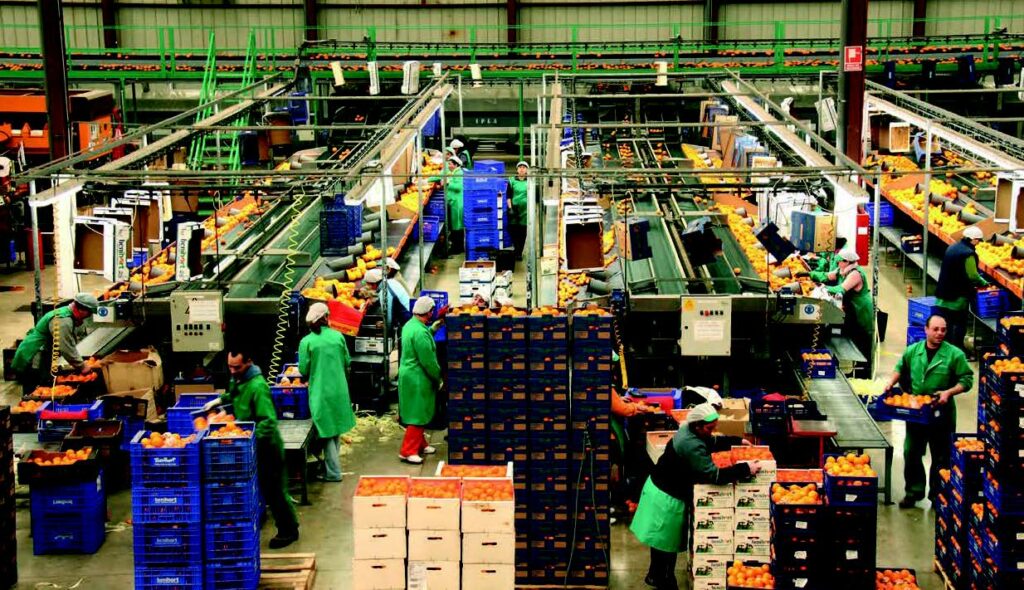 Gasto y consumo per cápita en hogares