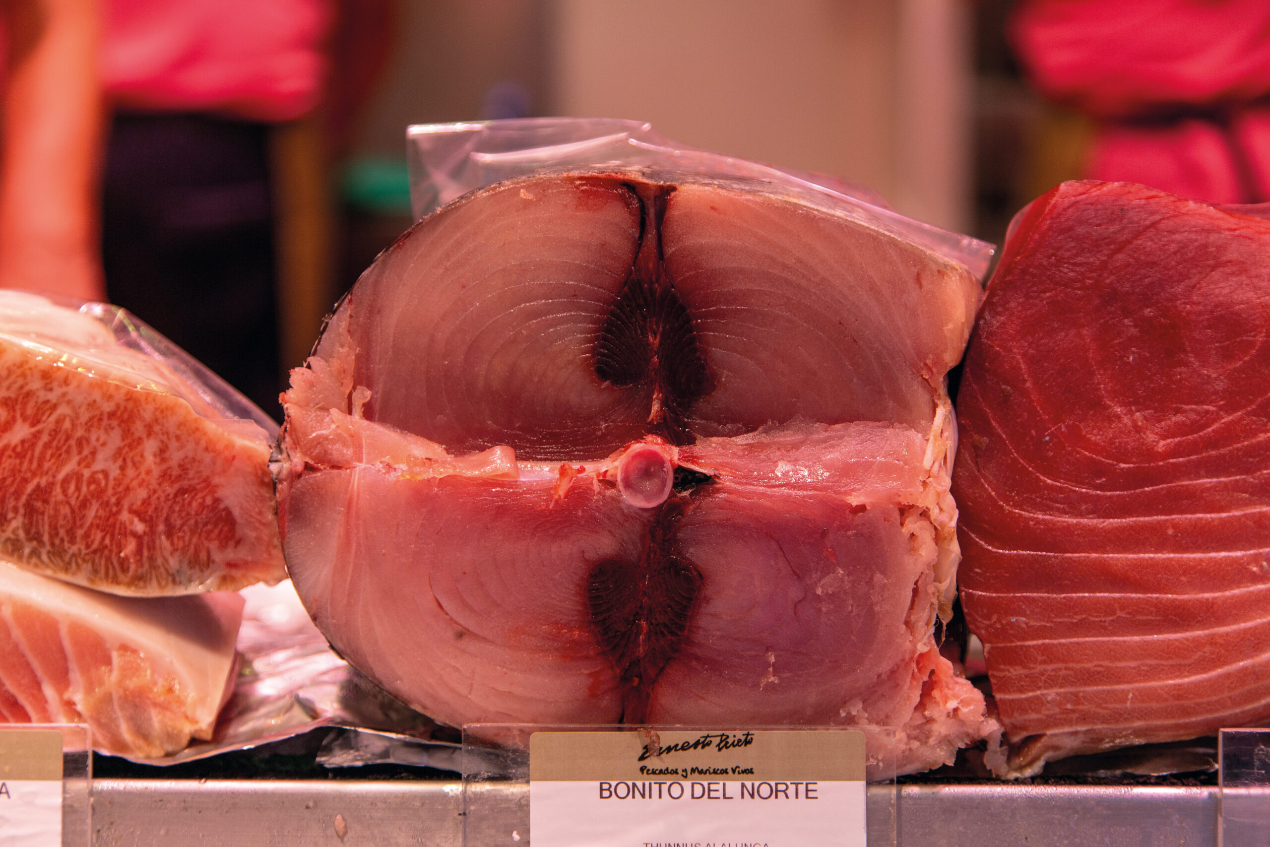 foto de un bonito del norte cortado