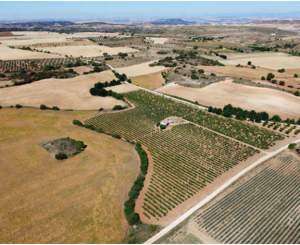 Principales Resultados Macroeconómicos de la Agricultura y la Ganadería