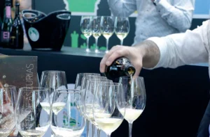 Consumo y gasto en sidra